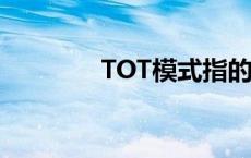 TOT模式指的是（tot模式）