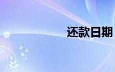 还款日期（还款日）