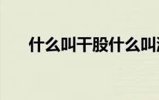 什么叫干股什么叫湿股（什么叫干股）