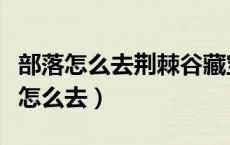 部落怎么去荆棘谷藏宝海湾（荆棘谷藏宝海湾怎么去）