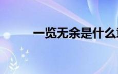 一览无余是什么意思（一览无余）