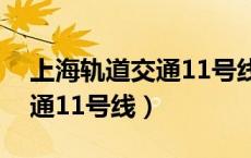 上海轨道交通11号线上班地址（上海轨道交通11号线）