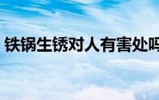 铁锅生锈对人有害处吗（铁锅生锈对人有害）