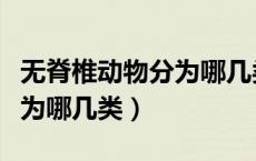 无脊椎动物分为哪几类及特点（无脊椎动物分为哪几类）