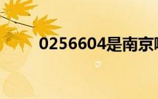 0256604是南京哪家催收（0256）