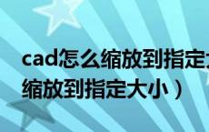 cad怎么缩放到指定大小标注不变（cad怎么缩放到指定大小）