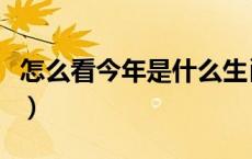 怎么看今年是什么生肖年（今年是什么生肖年）