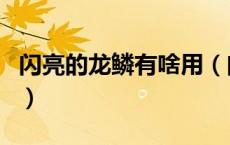 闪亮的龙鳞有啥用（闪亮的彩色龙鳞有什么用）