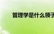 管理学是什么领子（管理学是什么）