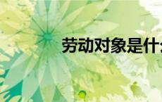 劳动对象是什么（劳动对象）