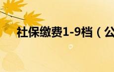 社保缴费1-9档（公司社保基数怎么算）