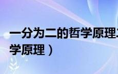 一分为二的哲学原理二重意思（一分为二的哲学原理）