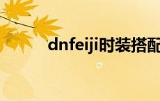 dnfeiji时装搭配（eiji时装搭配）