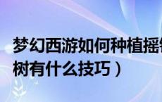 梦幻西游如何种植摇钱树苗（梦幻西游种摇钱树有什么技巧）