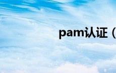 pam认证（pahs认证）