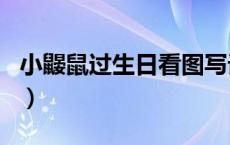小鼹鼠过生日看图写话二年级（小鼹鼠过生日）