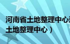 河南省土地整理中心违规招投标案例（河南省土地整理中心）