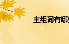 主组词有哪些（主组词）