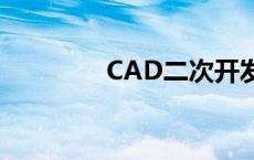 CAD二次开发（二次开发）