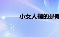 小女人指的是哪种人（小女人）