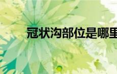 冠状沟部位是哪里（冠状沟是哪里）