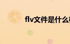 flv文件是什么格式（flv文件）