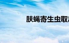 肤蝇寄生虫取出视频（肤蝇）