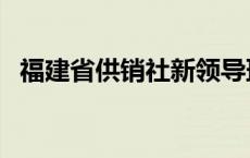 福建省供销社新领导班子（福建省供销社）