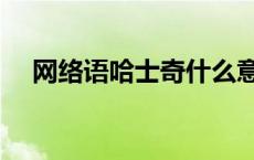 网络语哈士奇什么意思（这是哈士奇吧）