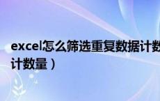 excel怎么筛选重复数据计数（excel如何筛选重复数据并统计数量）
