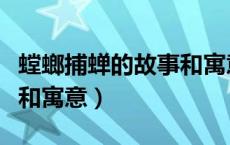 螳螂捕蝉的故事和寓意文字（螳螂捕蝉的故事和寓意）