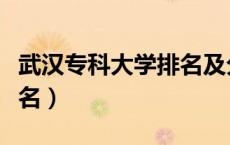 武汉专科大学排名及分数线（武汉专科大学排名）
