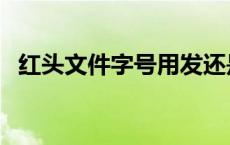 红头文件字号用发还是字（红头文件字号）