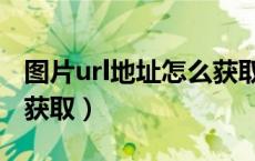 图片url地址怎么获取手机（图片url地址怎么获取）