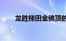 龙胜梯田金佛顶的特点（龙胜梯田）