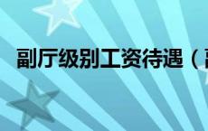 副厅级别工资待遇（副厅级干部工资待遇）