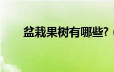 盆栽果树有哪些?（盆栽果树有哪些）