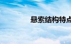 悬索结构特点（悬索结构）