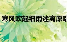 寒风吹起细雨迷离原唱（寒风吹起细雨迷离）