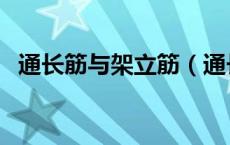 通长筋与架立筋（通长筋和架立筋的区别）