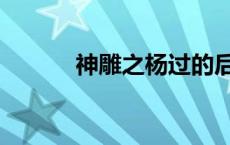 神雕之杨过的后宫（神雕后宫）