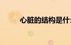 心脏的结构是什么（心脏的结构）