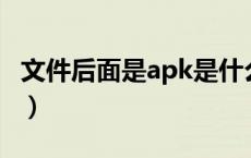 文件后面是apk是什么意思（APK是什么意思）