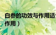 白参的功效与作用适合哪些人（白参的功效与作用）