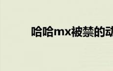 哈哈mx被禁的动态图（mx哈哈）