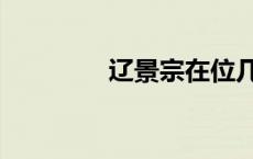 辽景宗在位几年（辽景宗）