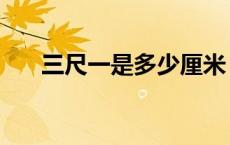 三尺一是多少厘米（三尺是多少厘米）