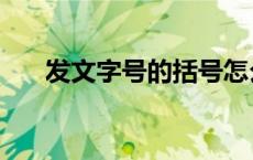 发文字号的括号怎么输入（发文字号）