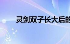 灵剑双子长大后的样子（凌剑双子）