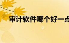 审计软件哪个好一点（审计软件哪个好）